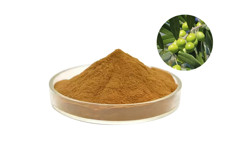 Olive Polyphenol Extract